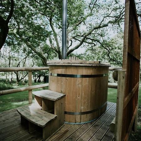 Apartamento Oak Special Winter Offers - Hot Tub & Log Burner Barmouth Exterior foto